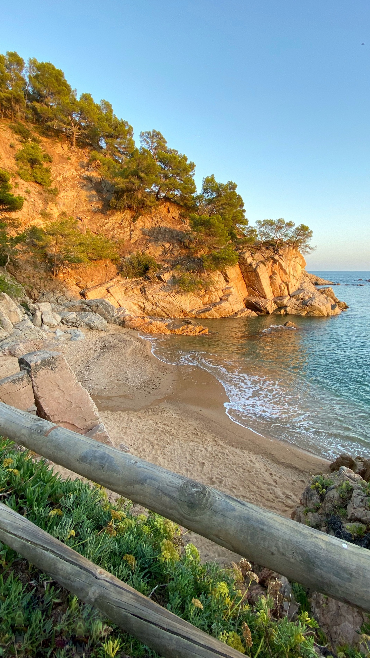 Coast, Promontory, Headland, Plant, Shore. Wallpaper in 1440x2560 Resolution