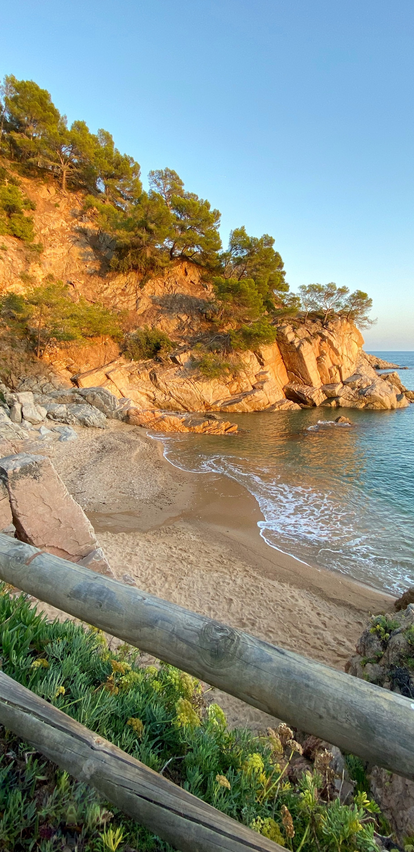 Coast, Promontory, Headland, Plant, Shore. Wallpaper in 1440x2960 Resolution