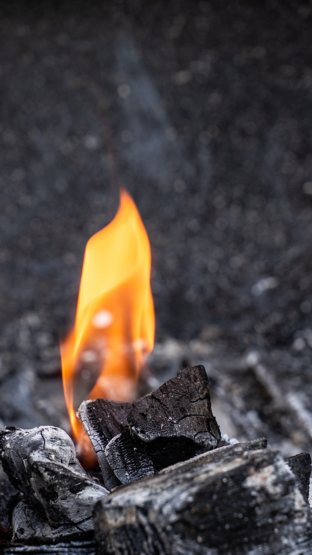 Flamme, Holzkohle, Feuer, Asche, Hitze. Wallpaper in 1080x1920 Resolution
