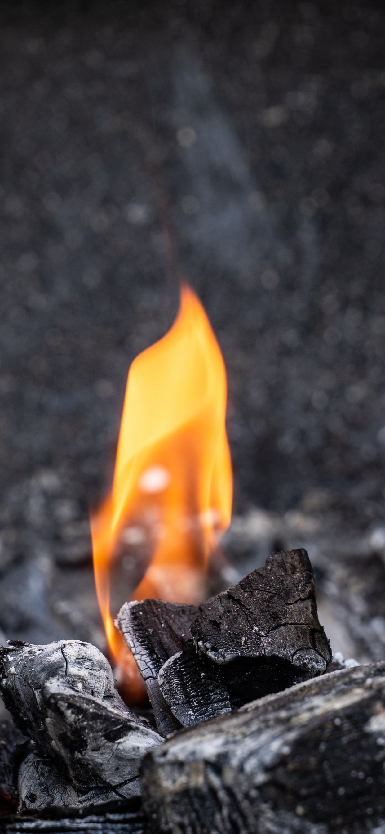 Flame, Charcoal, Fire, Ash, Campfire. Wallpaper in 1242x2688 Resolution