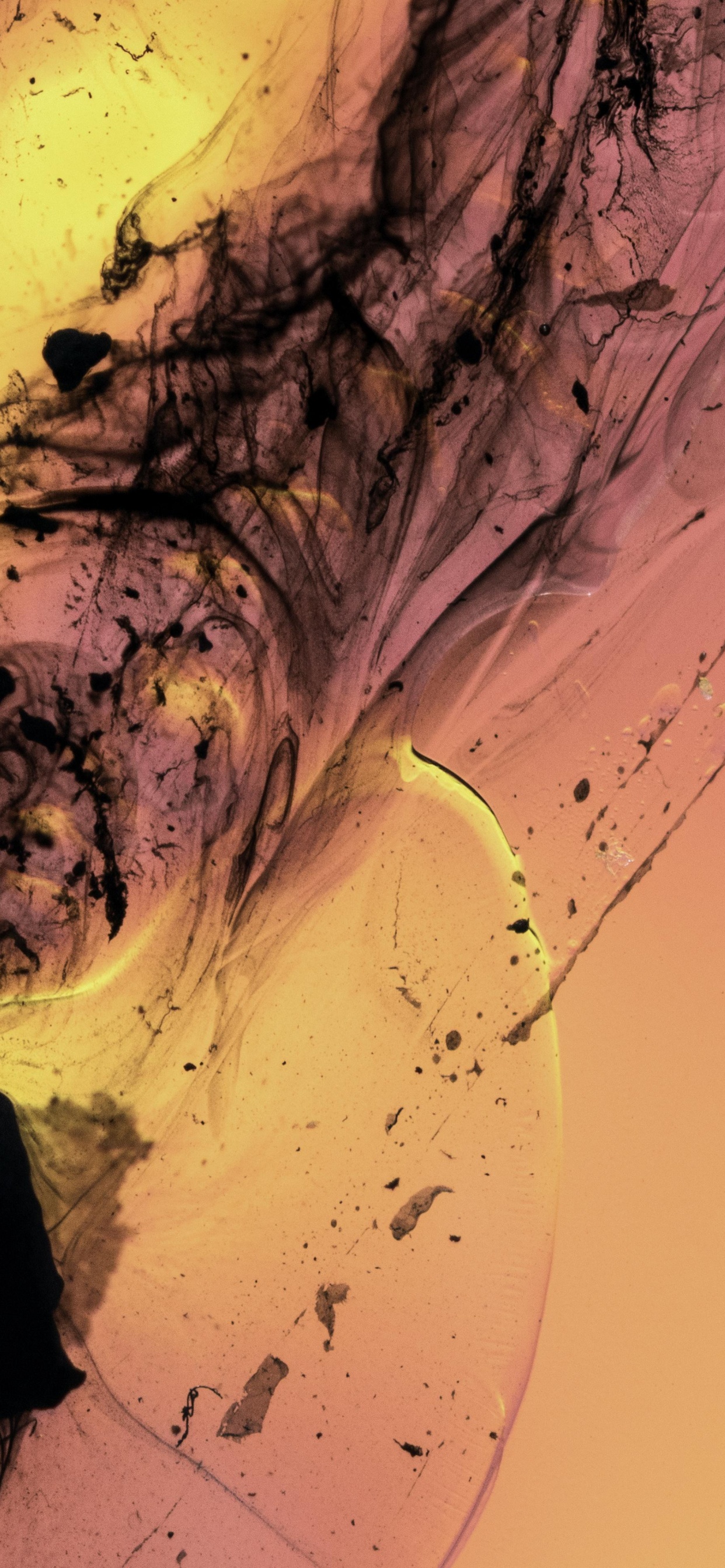 Fluid, Liquid, Colorfulness. Wallpaper in 1242x2688 Resolution