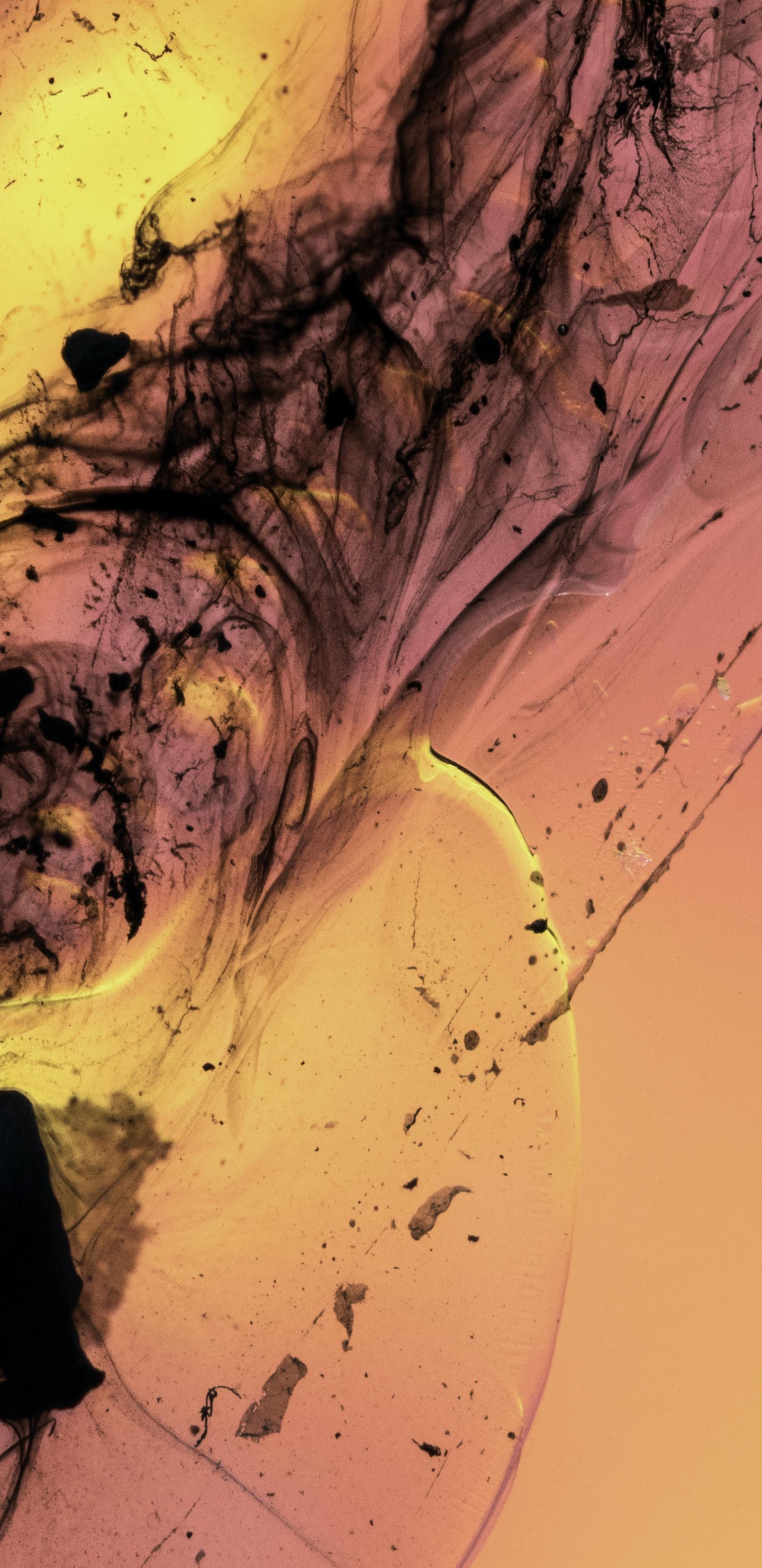 Fluid, Liquid, Colorfulness. Wallpaper in 1440x2960 Resolution