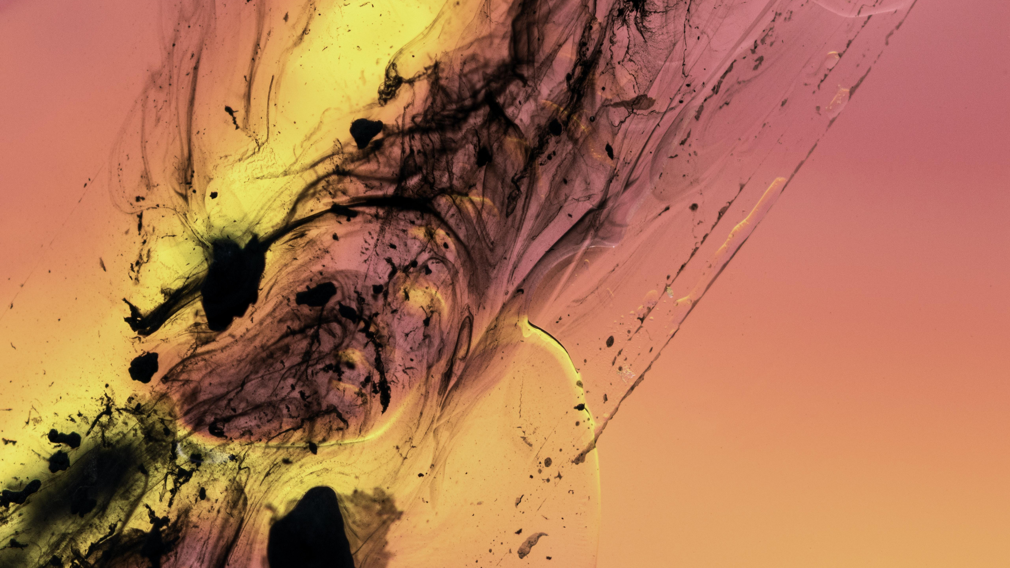 Fluid, Liquid, Colorfulness. Wallpaper in 3840x2160 Resolution