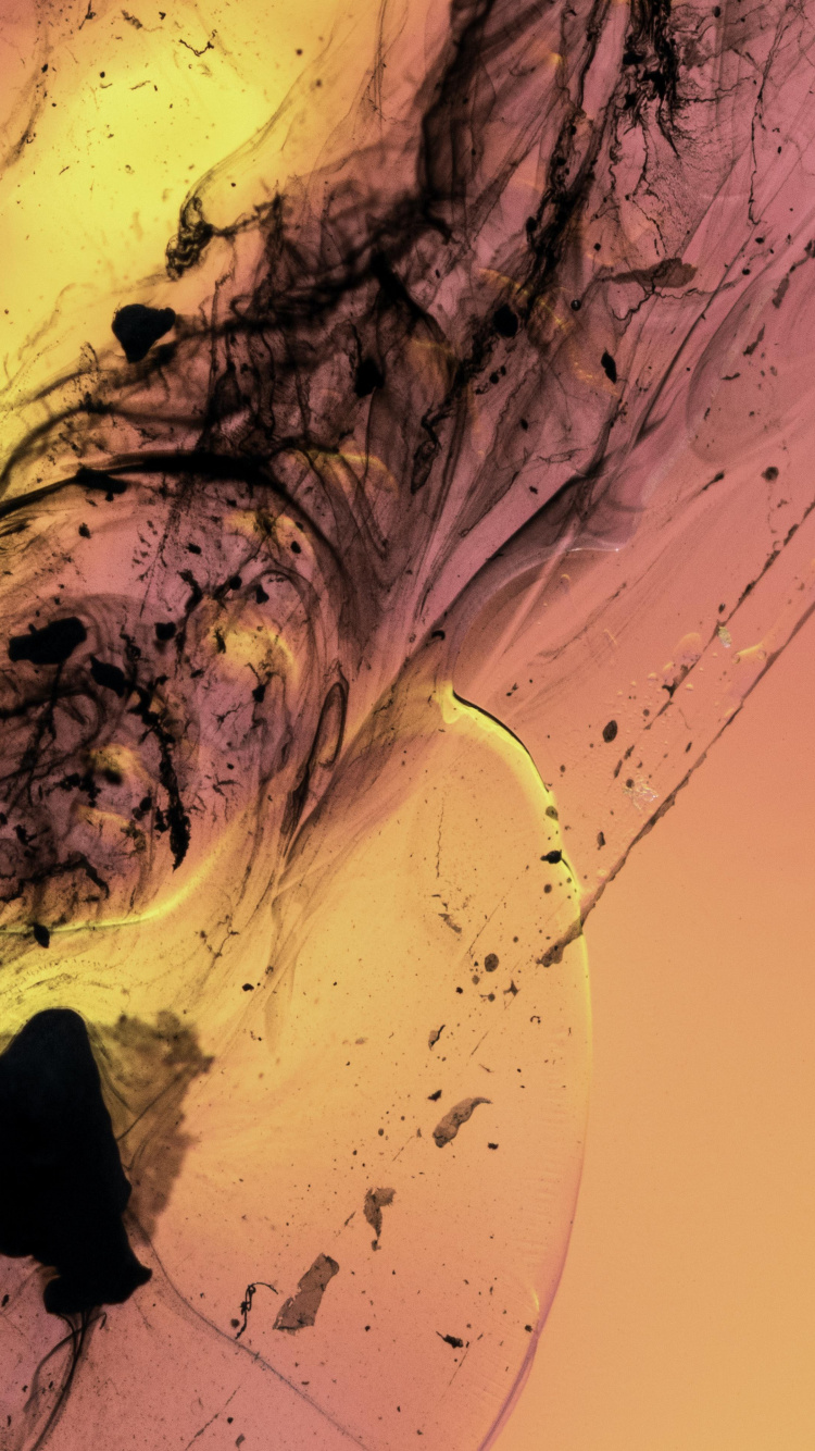 Fluide, Liquid, la Pureté de la Couleur. Wallpaper in 750x1334 Resolution