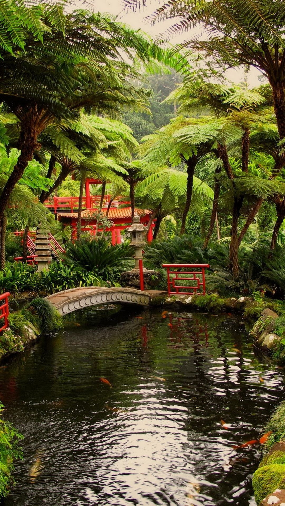 Arbres Verts Près de la Rivière Pendant la Journée. Wallpaper in 1080x1920 Resolution