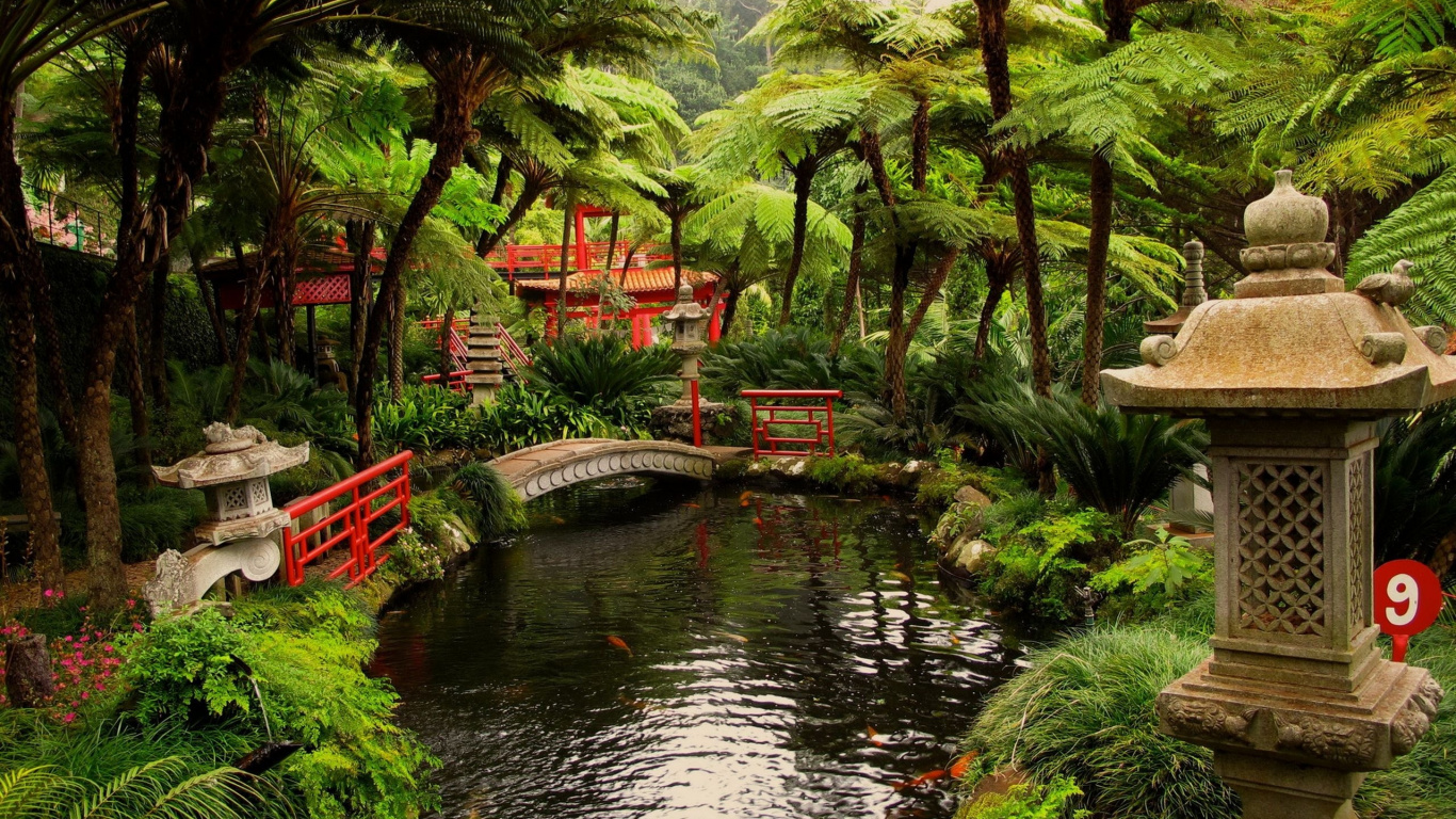 Green Trees Near River During Daytime. Wallpaper in 1366x768 Resolution