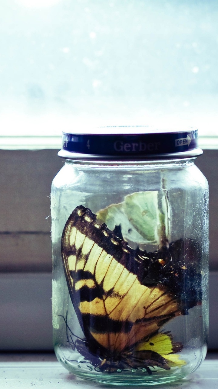 Klarglas Mit Weißer Und Gelber Flüssigkeit im Inneren. Wallpaper in 720x1280 Resolution