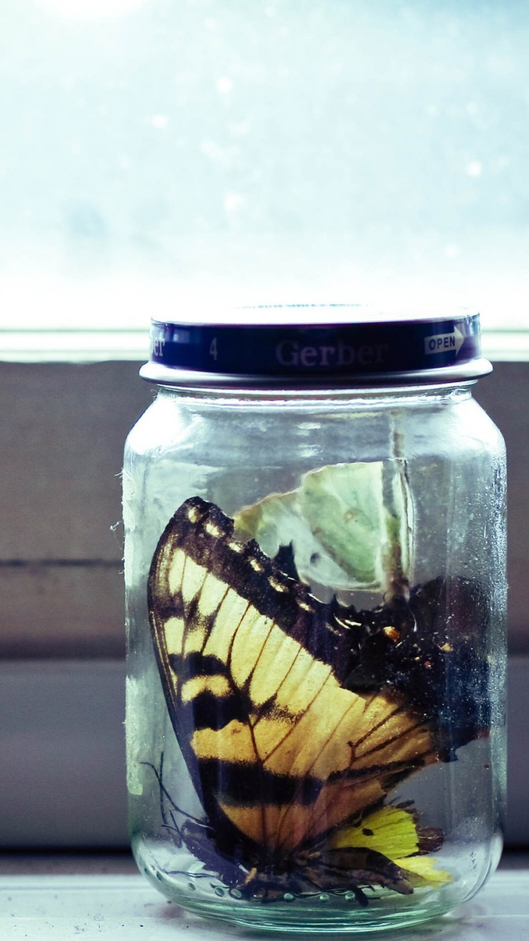 Klarglas Mit Weißer Und Gelber Flüssigkeit im Inneren. Wallpaper in 750x1334 Resolution