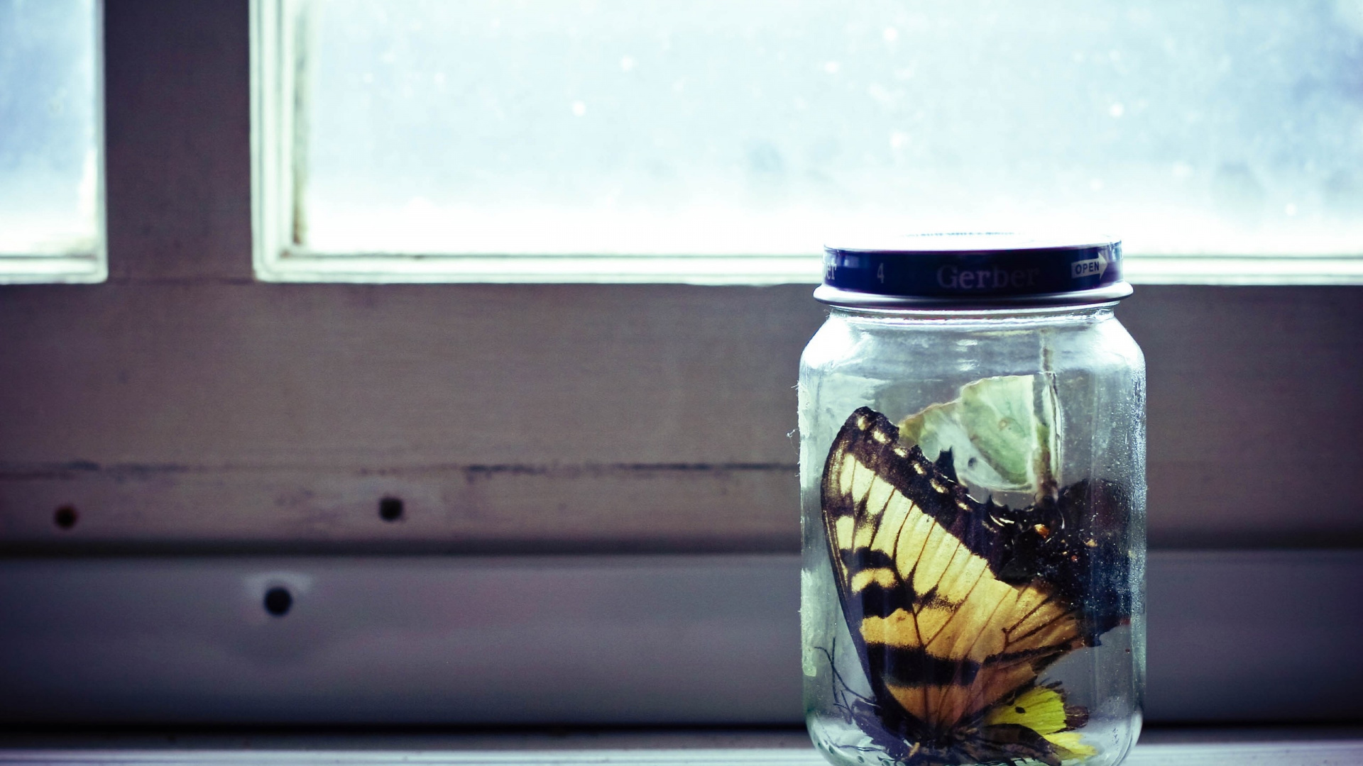 Clear Glass Jar With White and Yellow Liquid Inside. Wallpaper in 1920x1080 Resolution