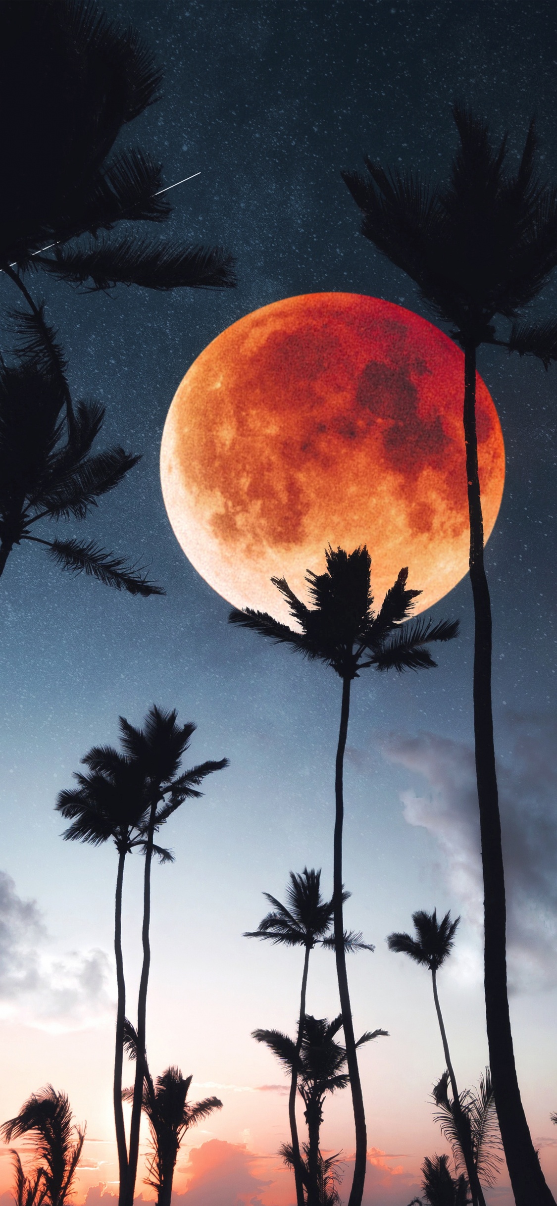 Palms, Tree, Night, Atmosphere, Cloud. Wallpaper in 1125x2436 Resolution