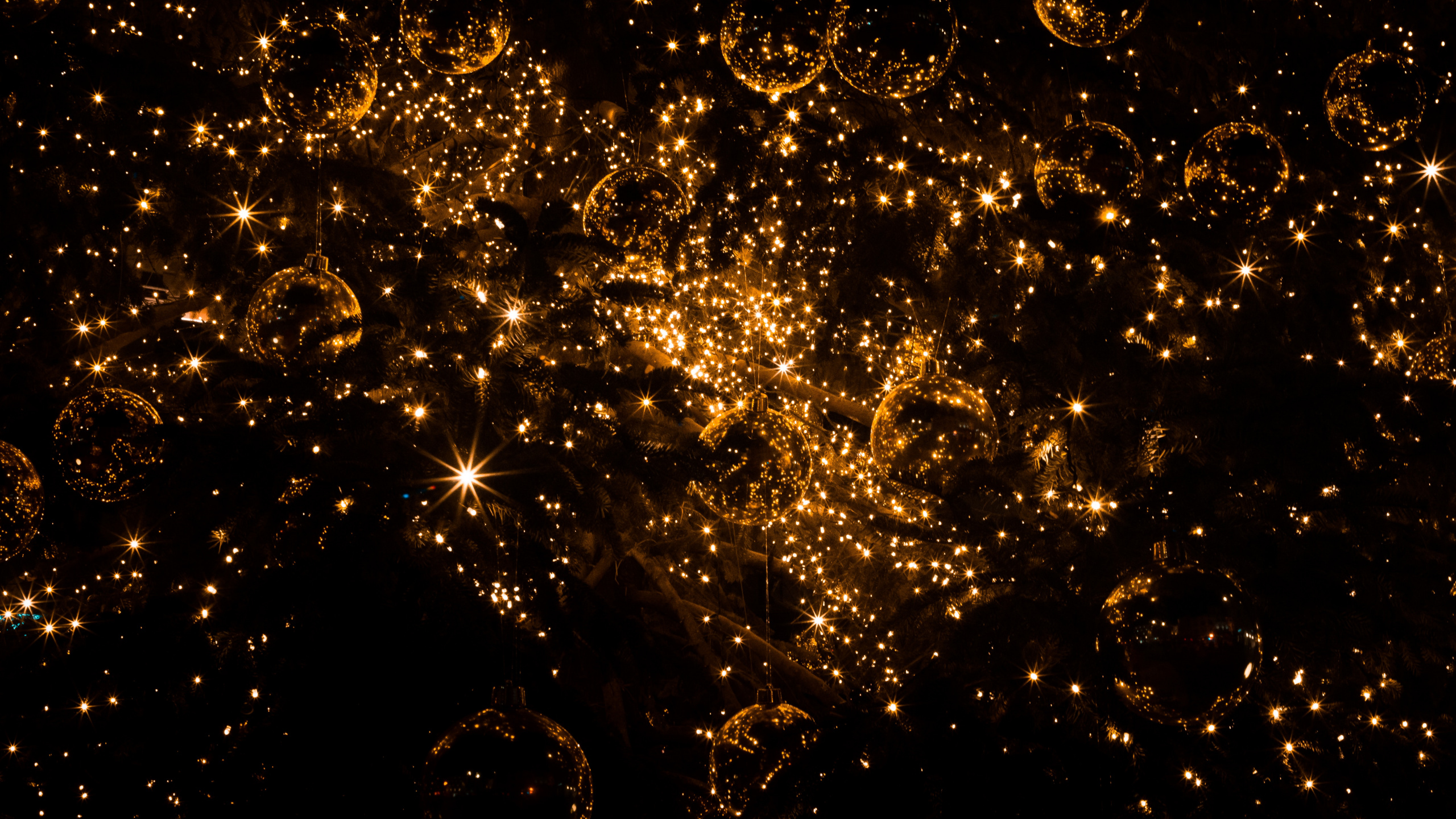 圣诞节那天, 空间, 天文学对象, 宇宙, 气氛 壁纸 2560x1440 允许