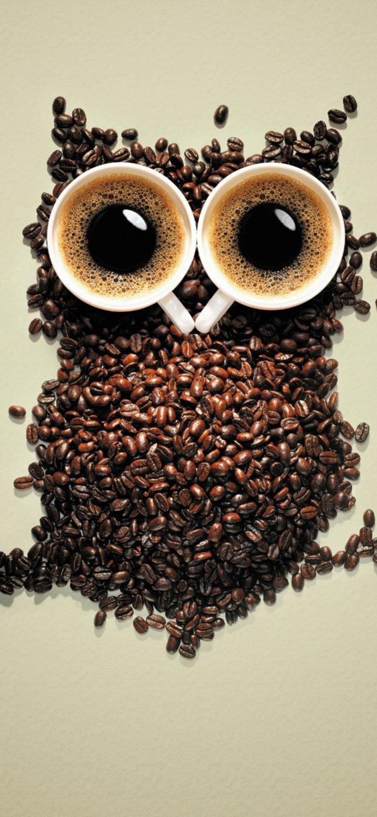 2 Brown Coffee Beans on White Surface. Wallpaper in 1242x2688 Resolution