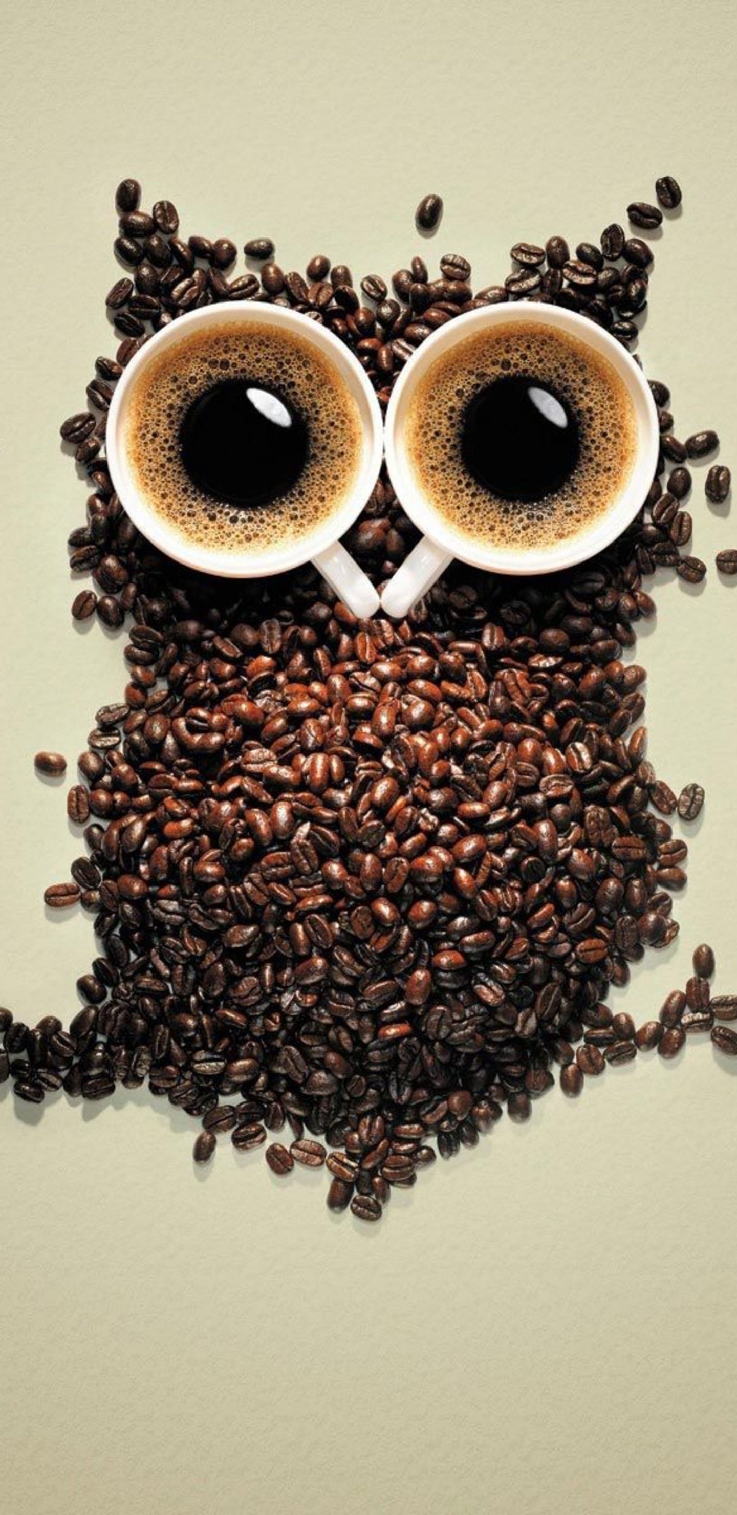 2 Brown Coffee Beans on White Surface. Wallpaper in 1440x2960 Resolution