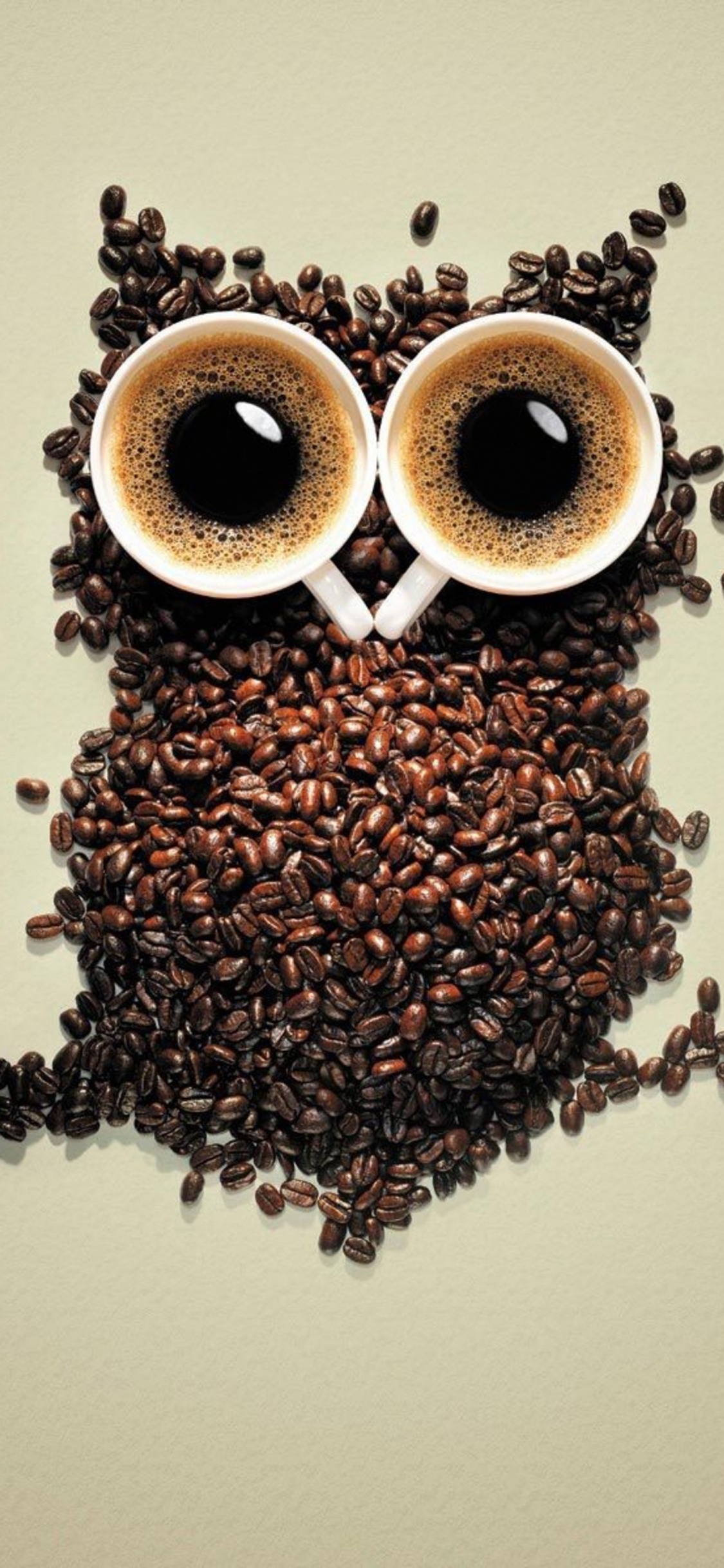 2 Grains de Café Bruns Sur Une Surface Blanche. Wallpaper in 1125x2436 Resolution