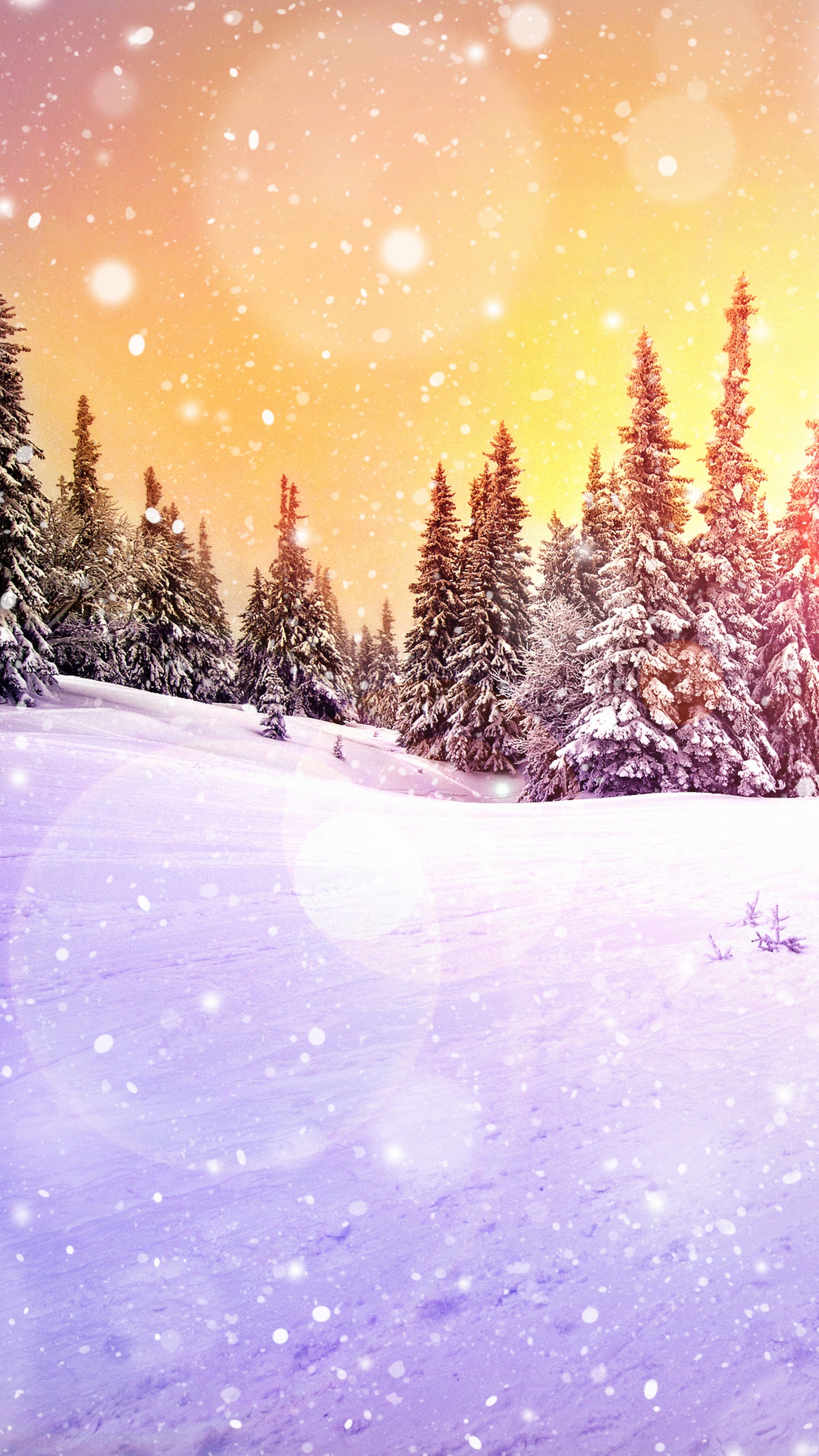 冬天, 性质, 光, 冻结, 紫色的 壁纸 1440x2560 允许