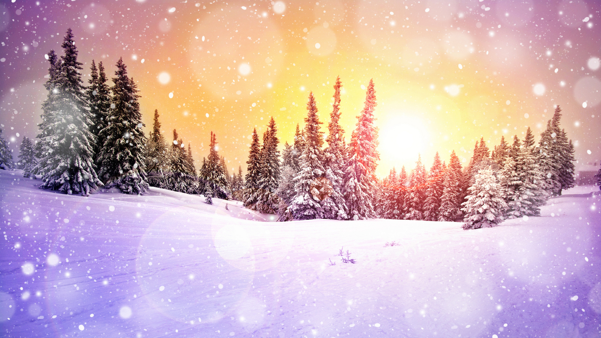 冬天, 性质, 光, 冻结, 紫色的 壁纸 1920x1080 允许