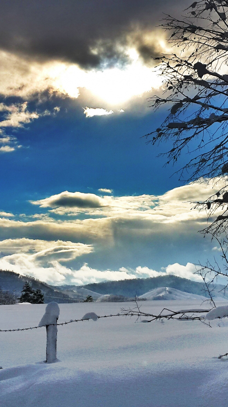 Kahler Baum Auf Schneebedecktem Boden Unter Blau-weiß Bewölktem Himmel Tagsüber. Wallpaper in 750x1334 Resolution