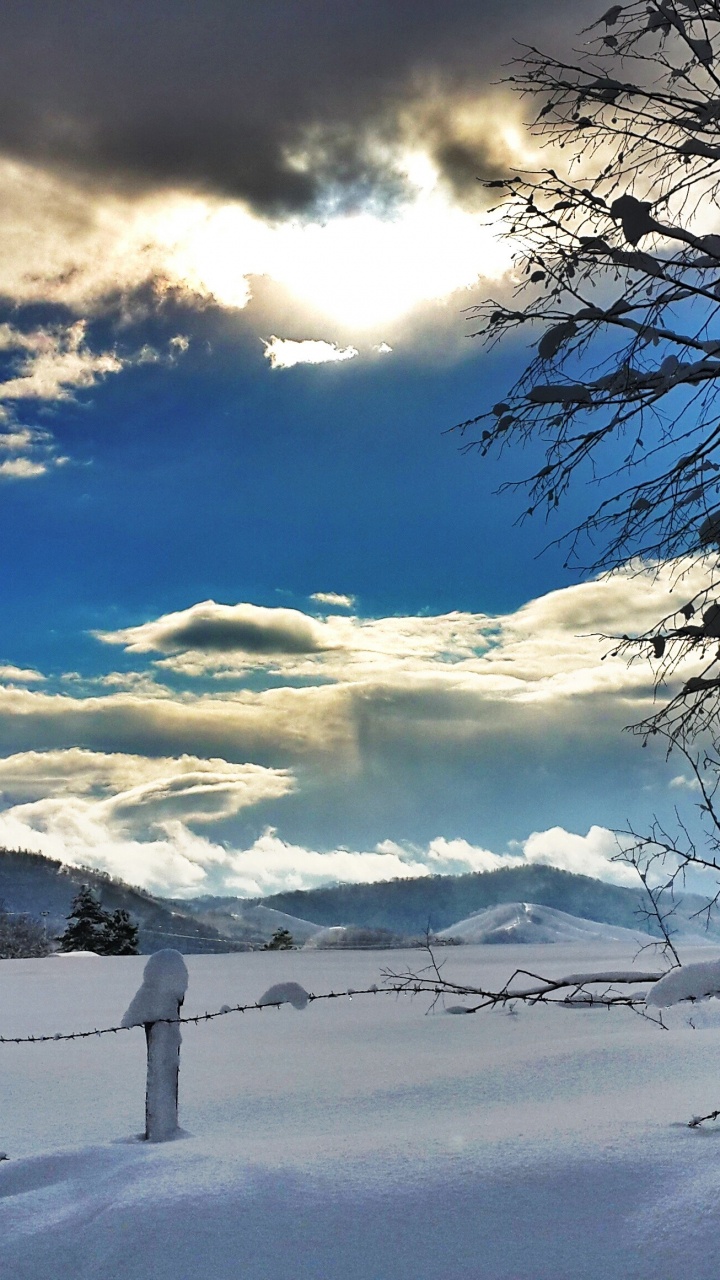 Bare Tree on Snow Covered Ground Under Blue and White Cloudy Sky During Daytime. Wallpaper in 720x1280 Resolution