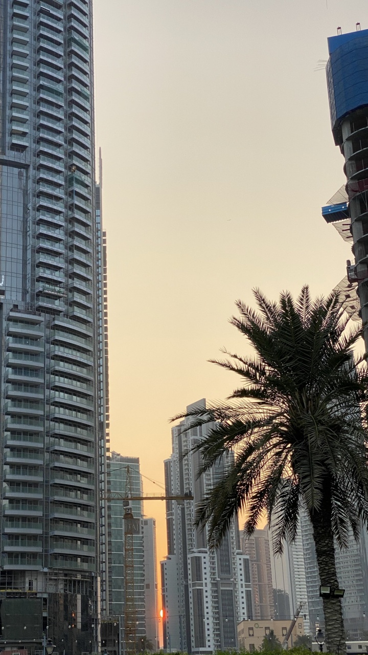 窗口, 塔块, 大都会, 城市, 酒店 壁纸 720x1280 允许