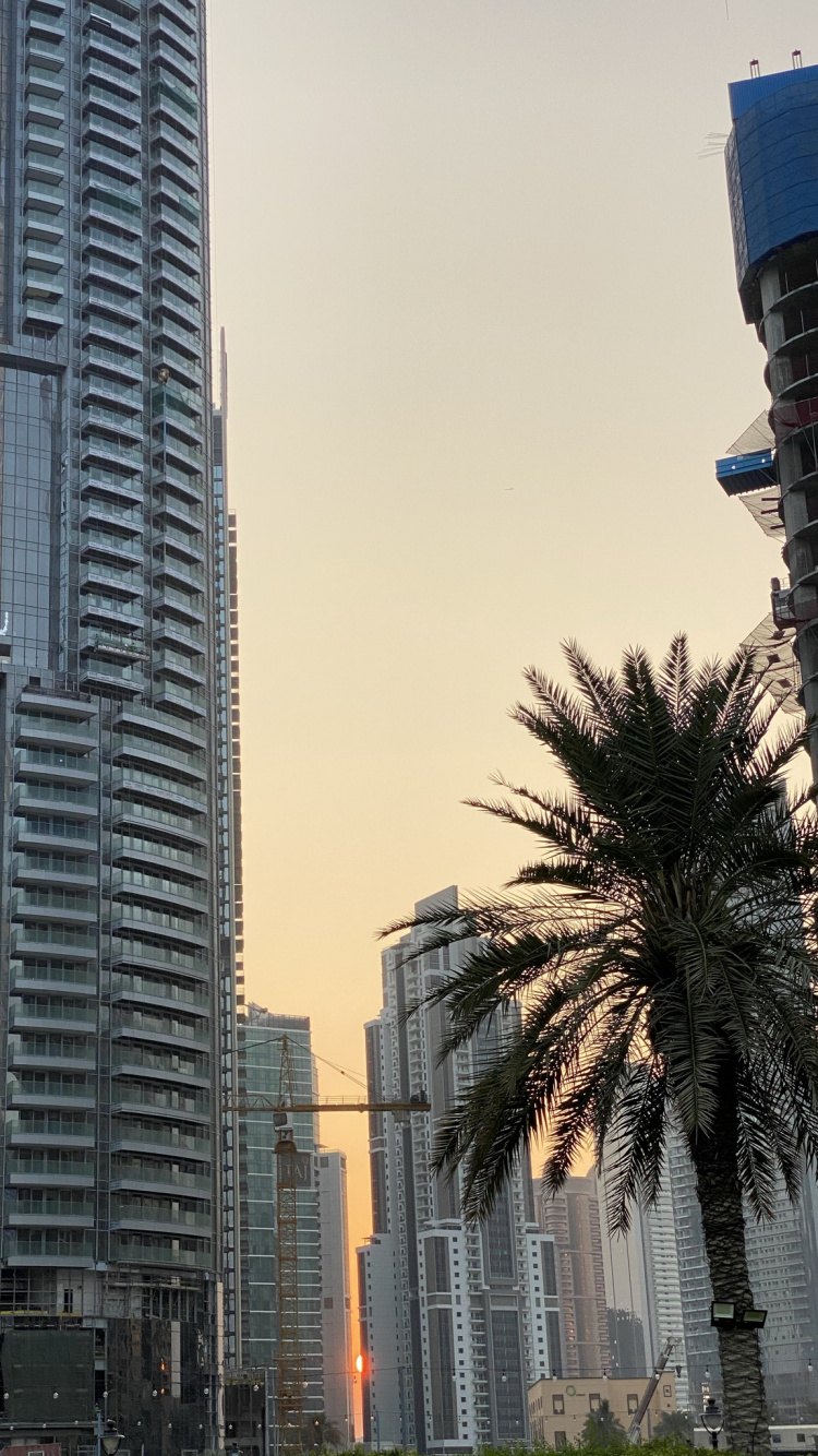 Window, Tower Block, Daytime, Urban Area, Metropolis. Wallpaper in 750x1334 Resolution