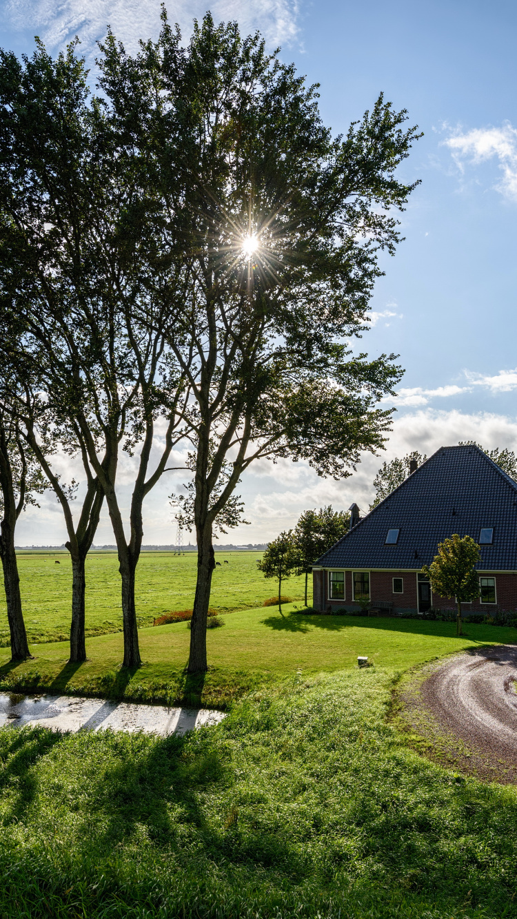 Brown Wooden House Near Green Trees Under Blue Sky During Daytime. Wallpaper in 750x1334 Resolution