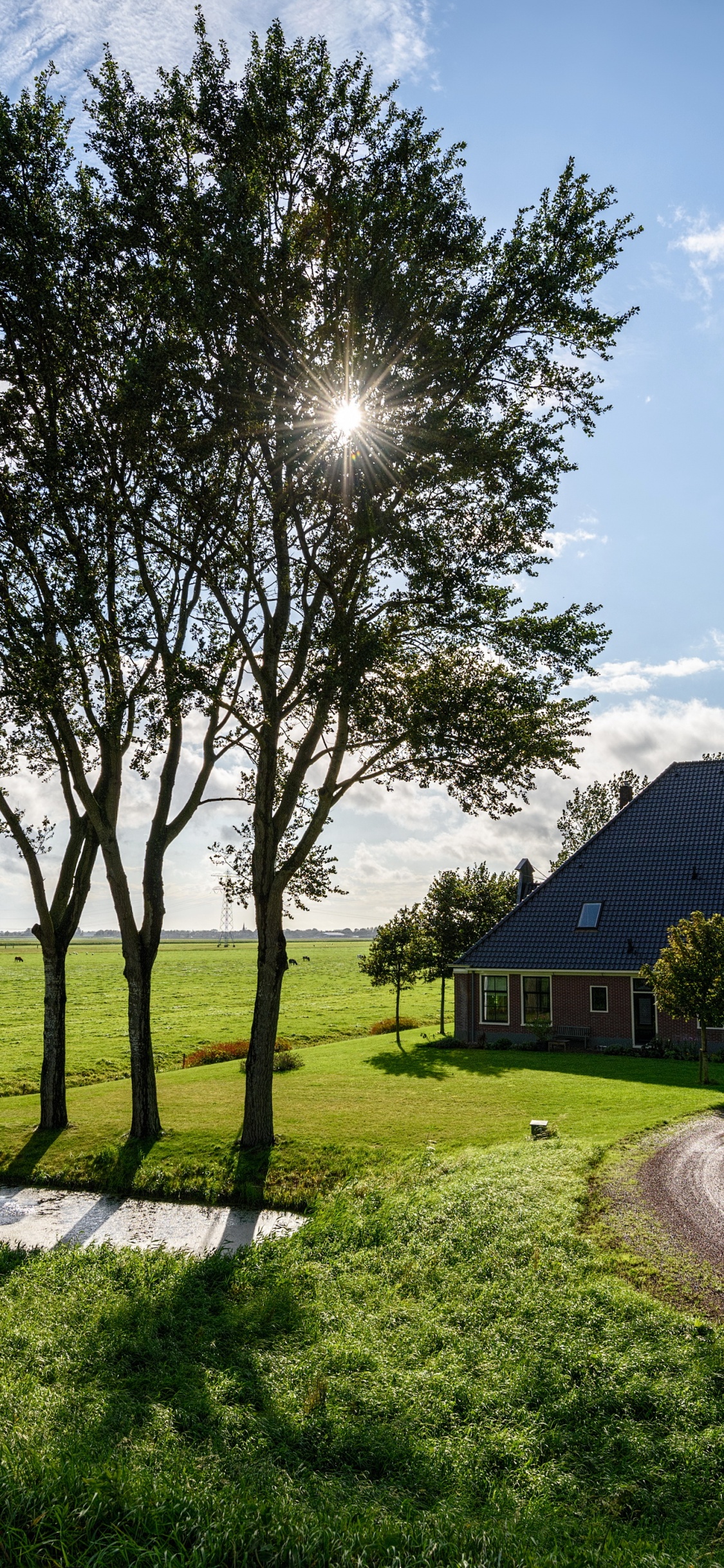 Braunes Holzhaus in Der Nähe Von Grünen Bäumen Unter Blauem Himmel Tagsüber. Wallpaper in 1125x2436 Resolution