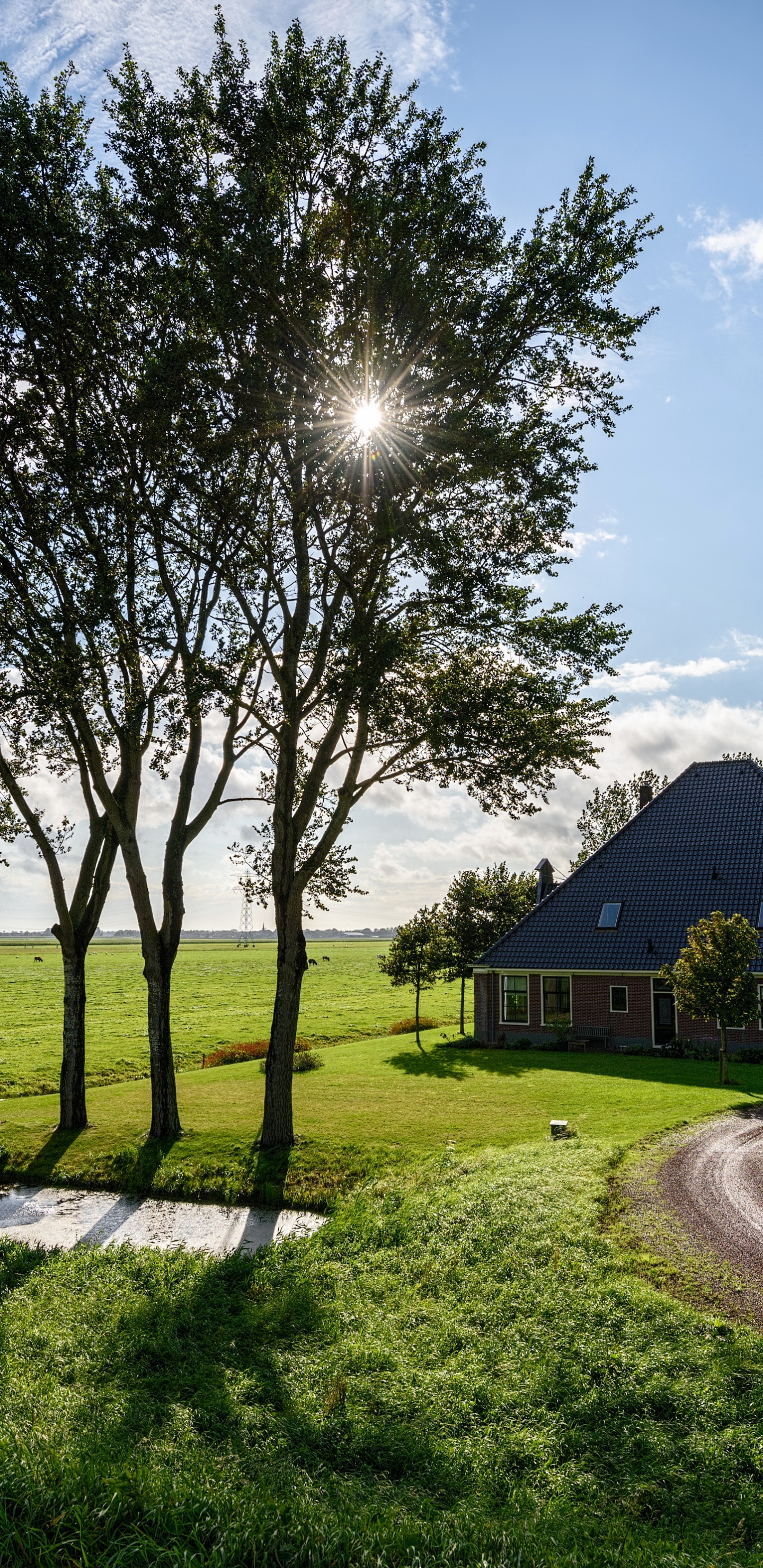 Braunes Holzhaus in Der Nähe Von Grünen Bäumen Unter Blauem Himmel Tagsüber. Wallpaper in 1440x2960 Resolution