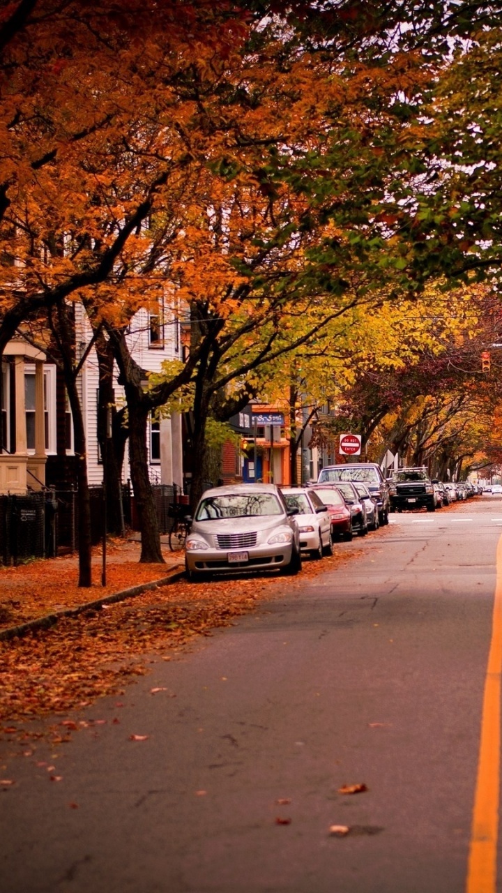 Voitures Garées Sur le Bord de la Route Pendant la Journée. Wallpaper in 720x1280 Resolution