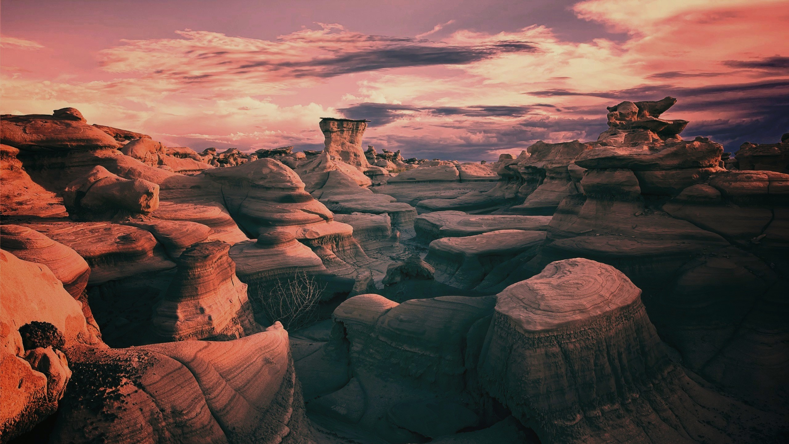 Bisti De-Na-Zin荒野, 荒地, 性质, 形成, 地质学 壁纸 2560x1440 允许