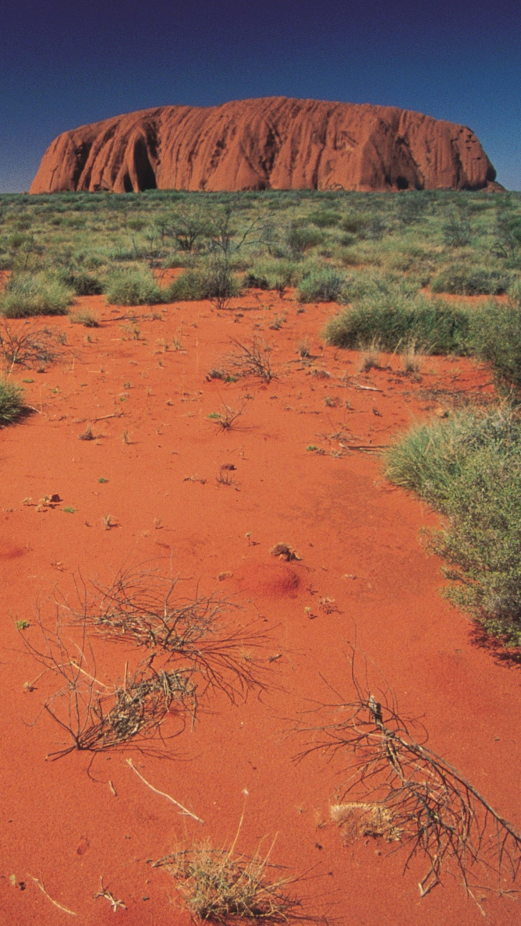 Green Grass and Brown Sand. Wallpaper in 750x1334 Resolution
