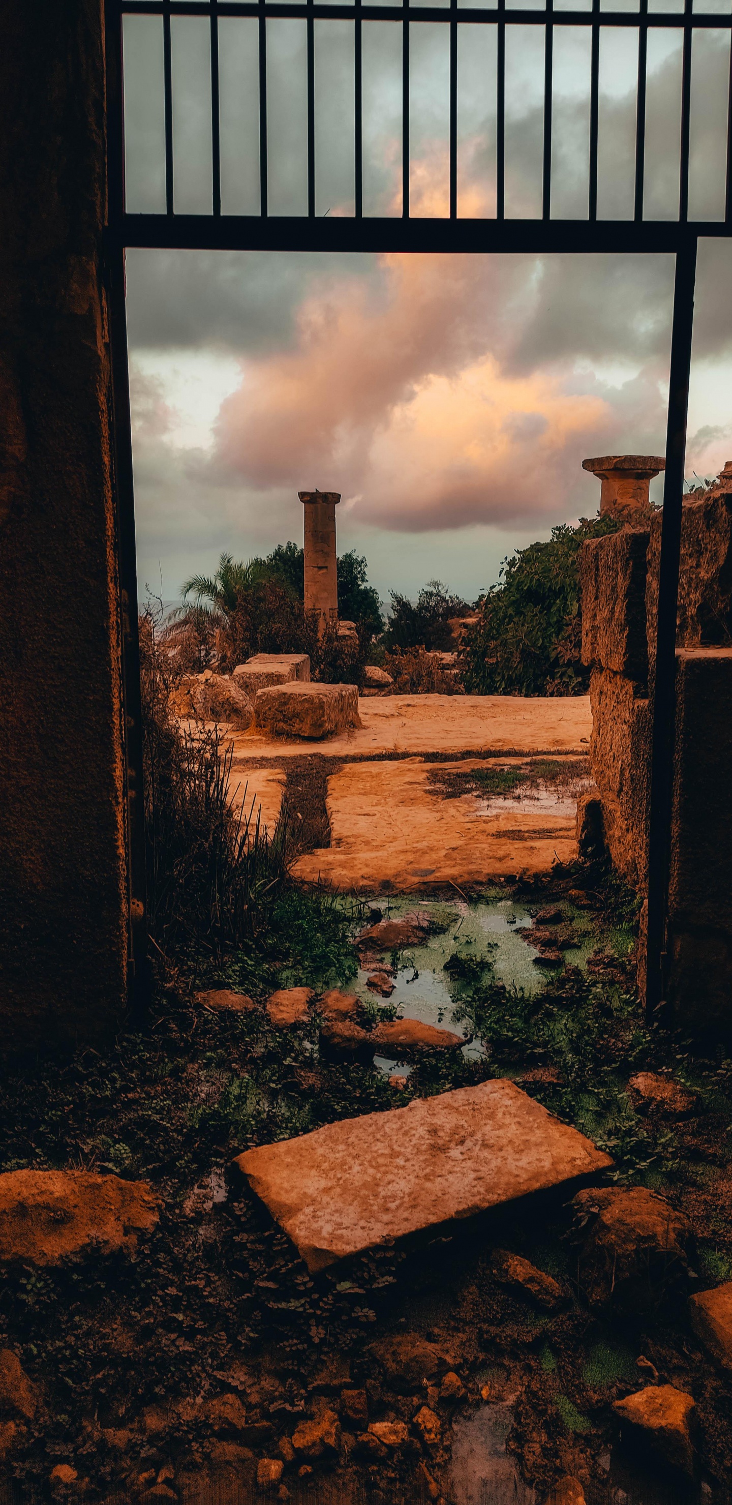 Despierta en el Cielo, Madera, Ladrillo, Rectángulo, Bioma. Wallpaper in 1440x2960 Resolution