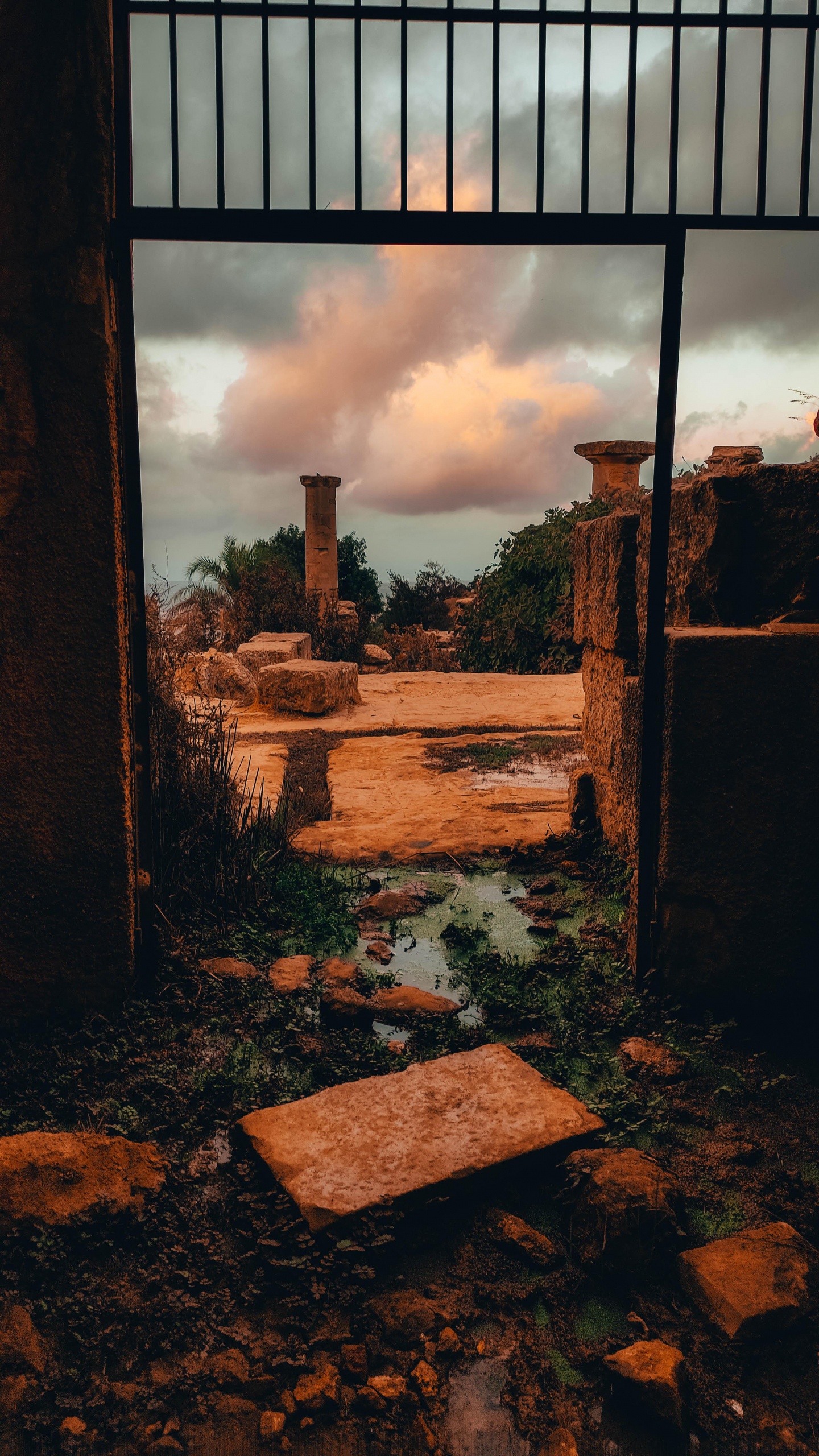 Wake up in The Sky, Cloud, Plant, Wood, Brickwork. Wallpaper in 1440x2560 Resolution
