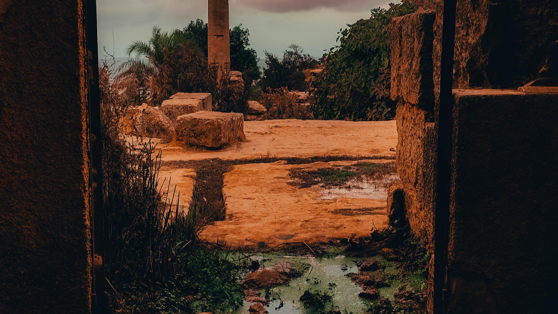 Wake up in The Sky, Cloud, Plant, Wood, Brickwork. Wallpaper in 1920x1080 Resolution