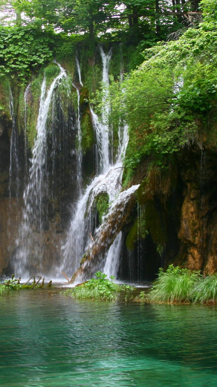 Grünes Moos Auf Brauner Felsformation in Der Nähe Von Wasserfällen Tagsüber. Wallpaper in 750x1334 Resolution