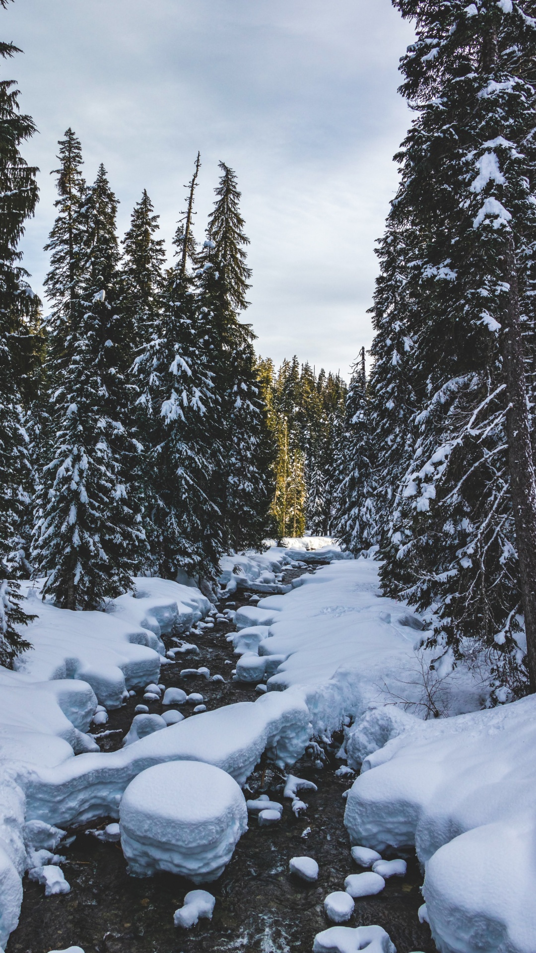 Hiver, Neige, Congélation, Environnement Naturel, Biome. Wallpaper in 1080x1920 Resolution
