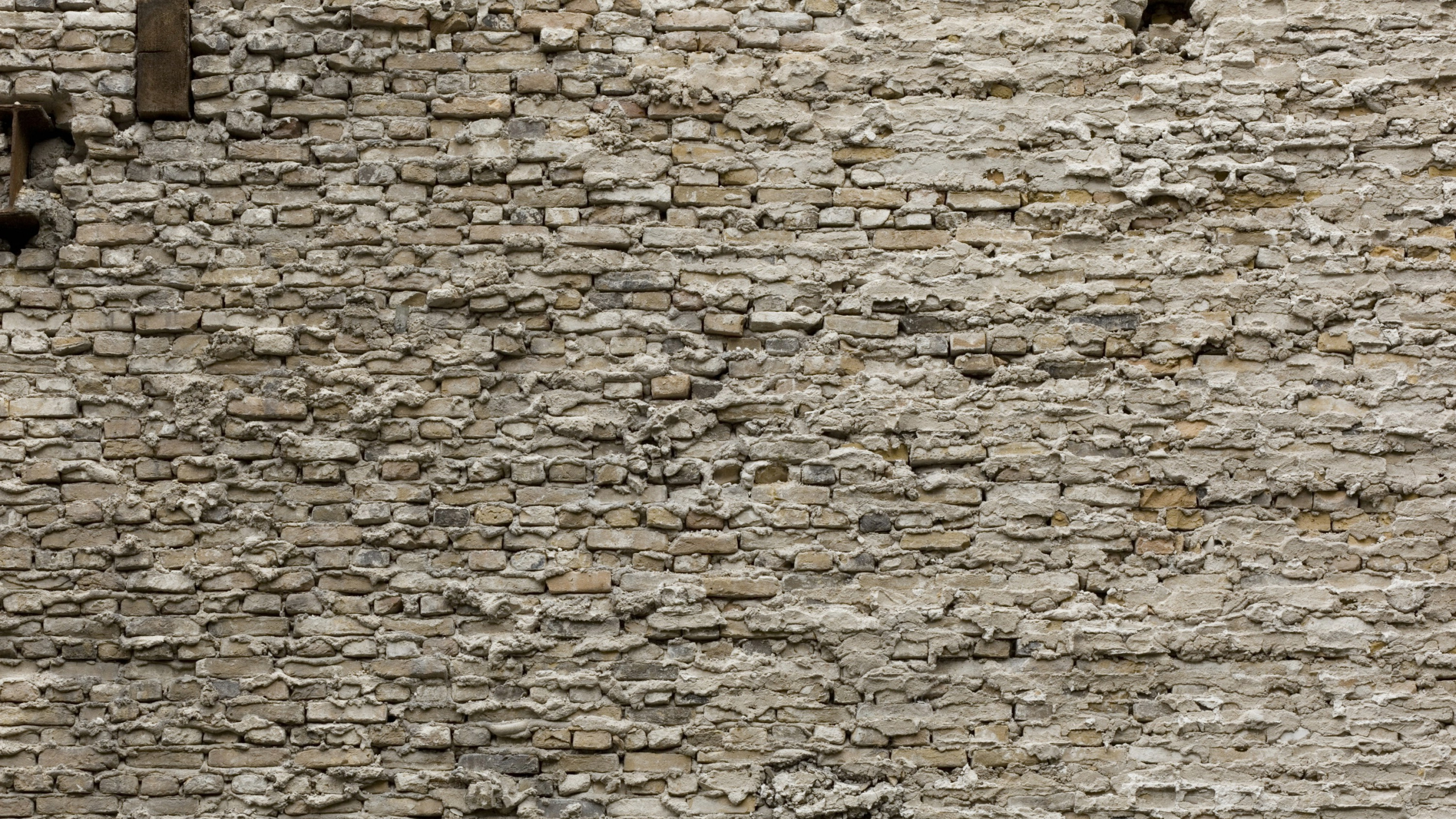 Mur de Briques Marron et Blanc. Wallpaper in 2560x1440 Resolution