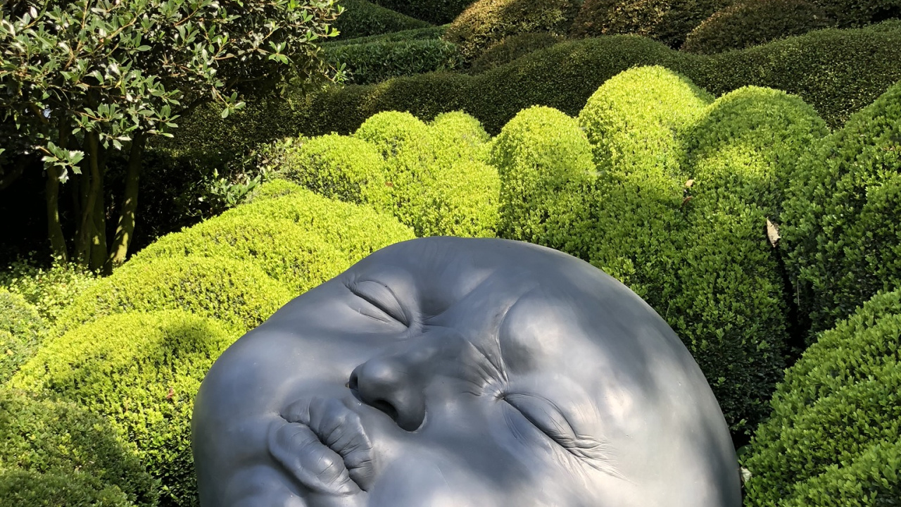 性质, 植被, 植物群, 灌木, 花园 壁纸 1280x720 允许