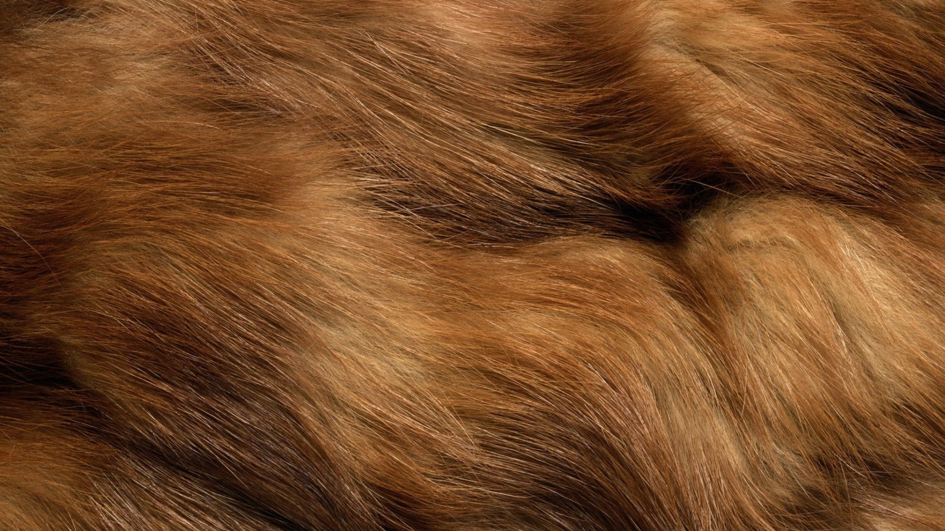 Brown and Black Fur Textile. Wallpaper in 1920x1080 Resolution
