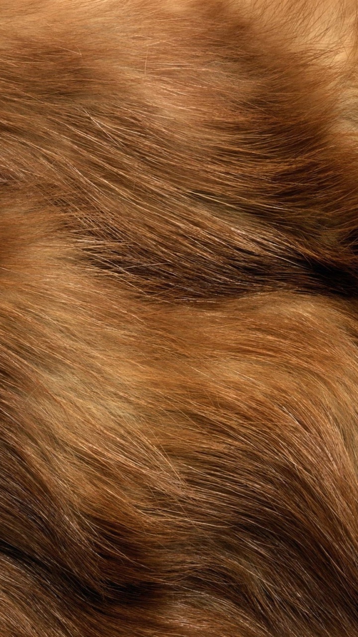 Brown and Black Fur Textile. Wallpaper in 720x1280 Resolution