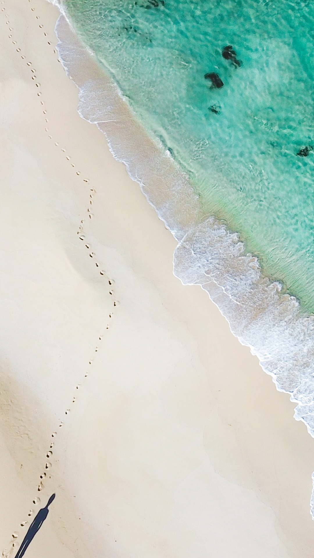 Water, Ecoregion, Beach, Wood, Landscape. Wallpaper in 1080x1920 Resolution