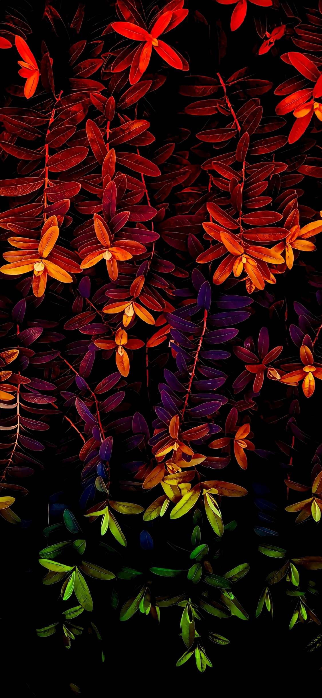 Nature, Leaf, Art, Plant, Flower. Wallpaper in 1125x2436 Resolution
