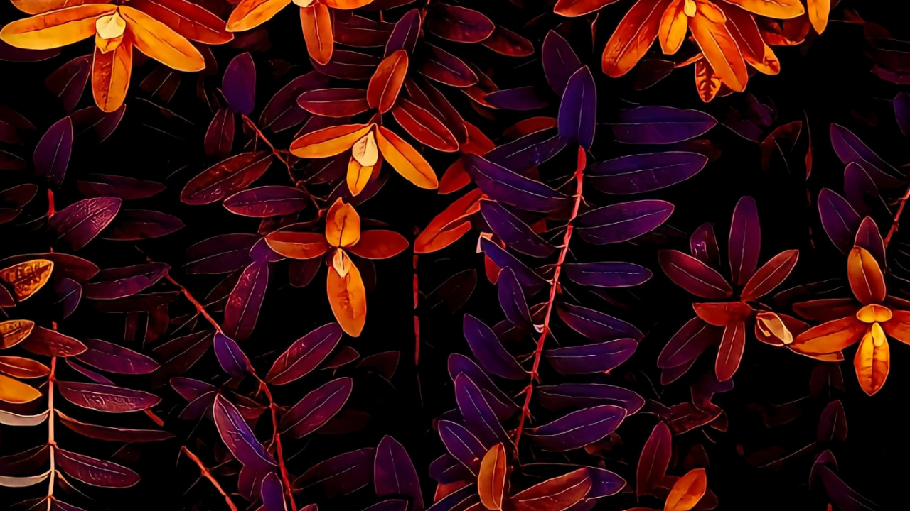 Nature, Leaf, Art, Plant, Flower. Wallpaper in 1280x720 Resolution