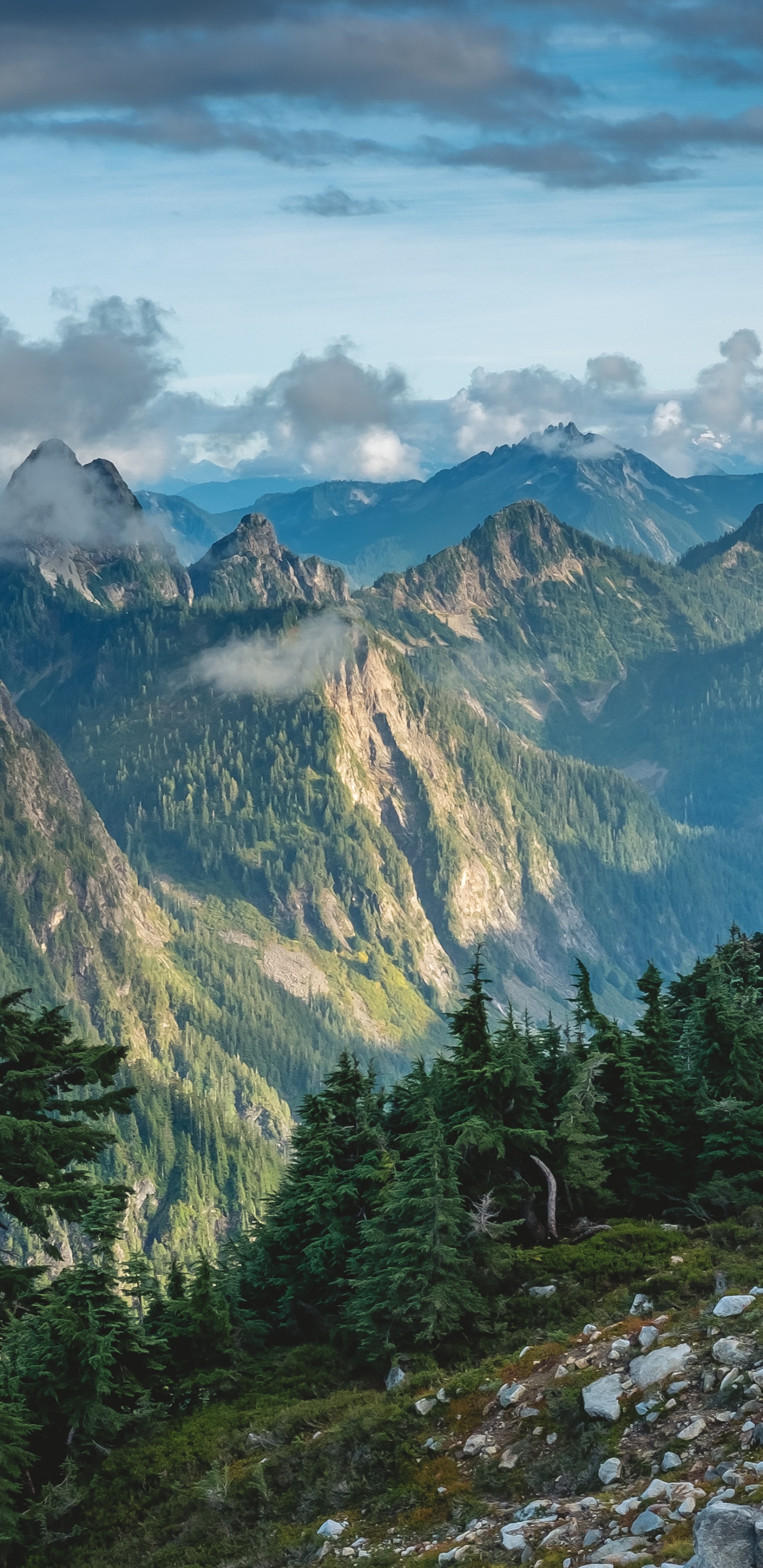 Washington, Cloud, Naturlandschaft, Baum, Hochland. Wallpaper in 1440x2960 Resolution