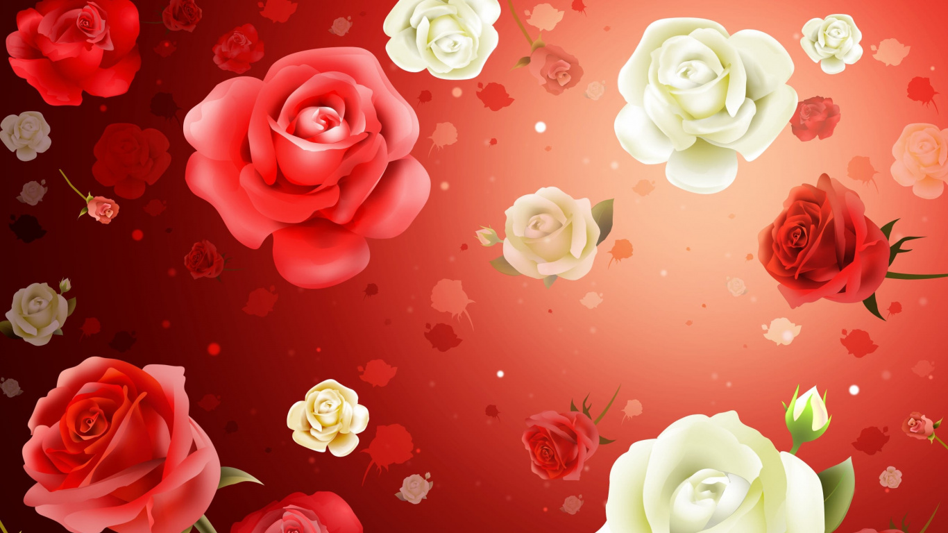 White and Pink Roses on Red Surface. Wallpaper in 1366x768 Resolution