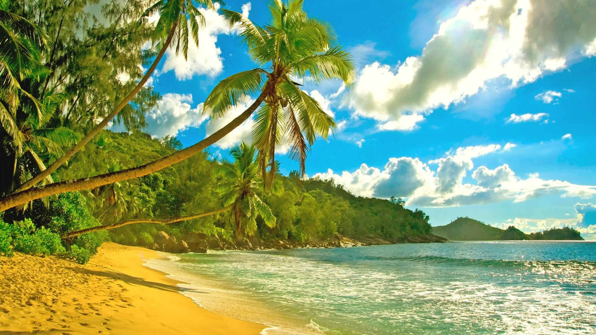 Coconut Tree on Beach Shore During Daytime. Wallpaper in 1920x1080 Resolution