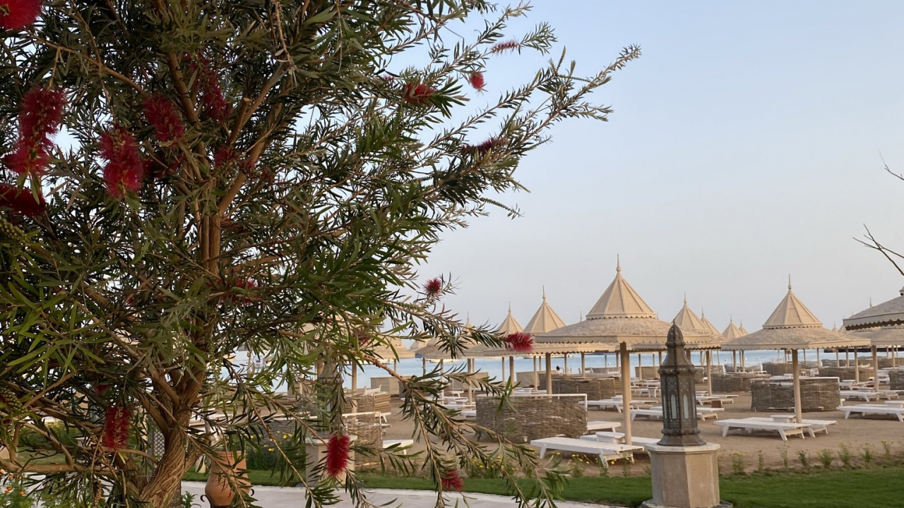 Biología, Ciencia, la Botánica, la Vegetación, el Espacio Público. Wallpaper in 1280x720 Resolution