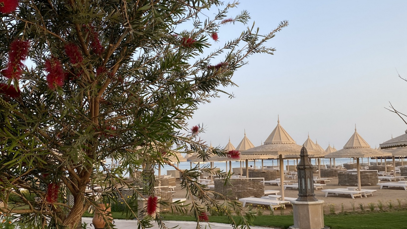 Biologie, Sciences, Botanique, Végétation, L'espace Public. Wallpaper in 1366x768 Resolution