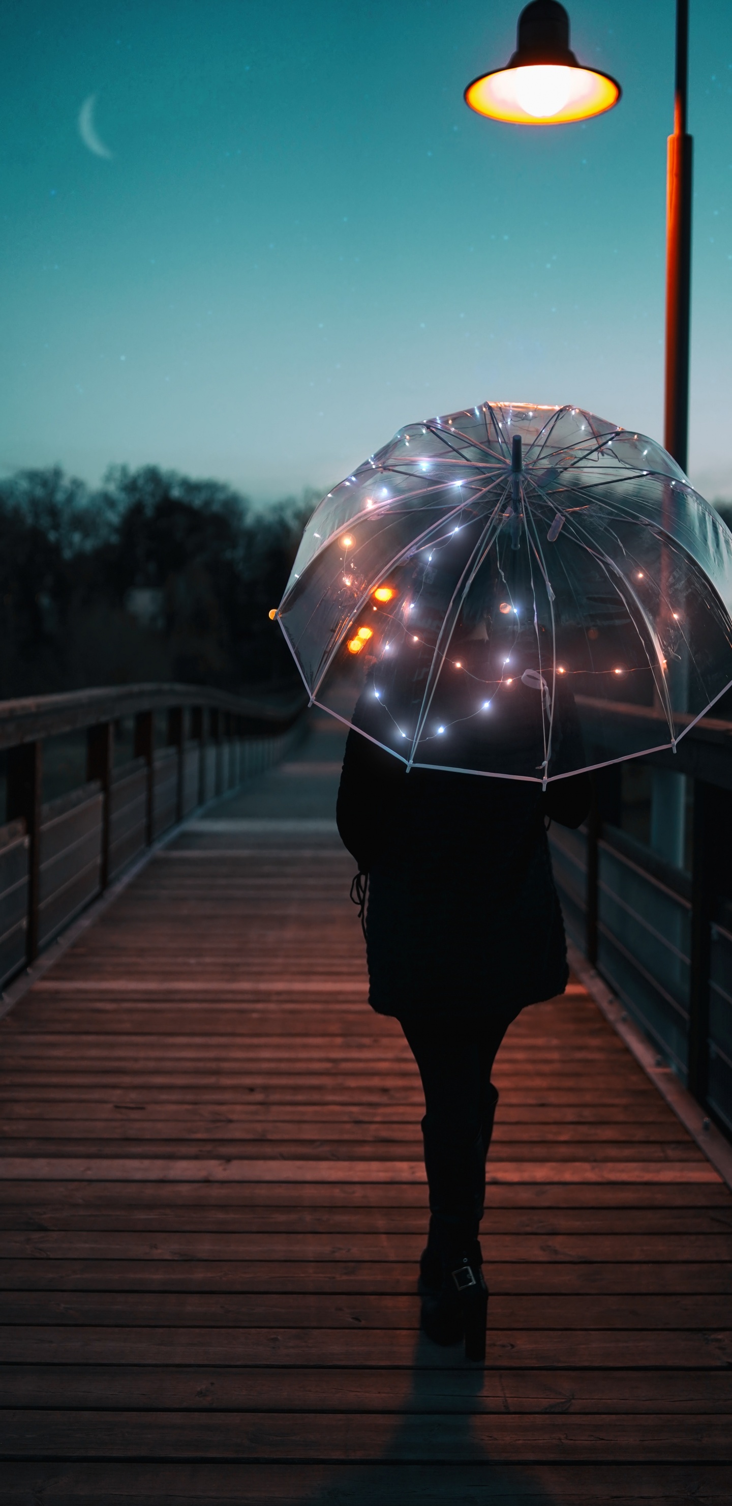 Person in Schwarzem Regenschirm, Die Tagsüber Auf Einer Holzbrücke Geht. Wallpaper in 1440x2960 Resolution