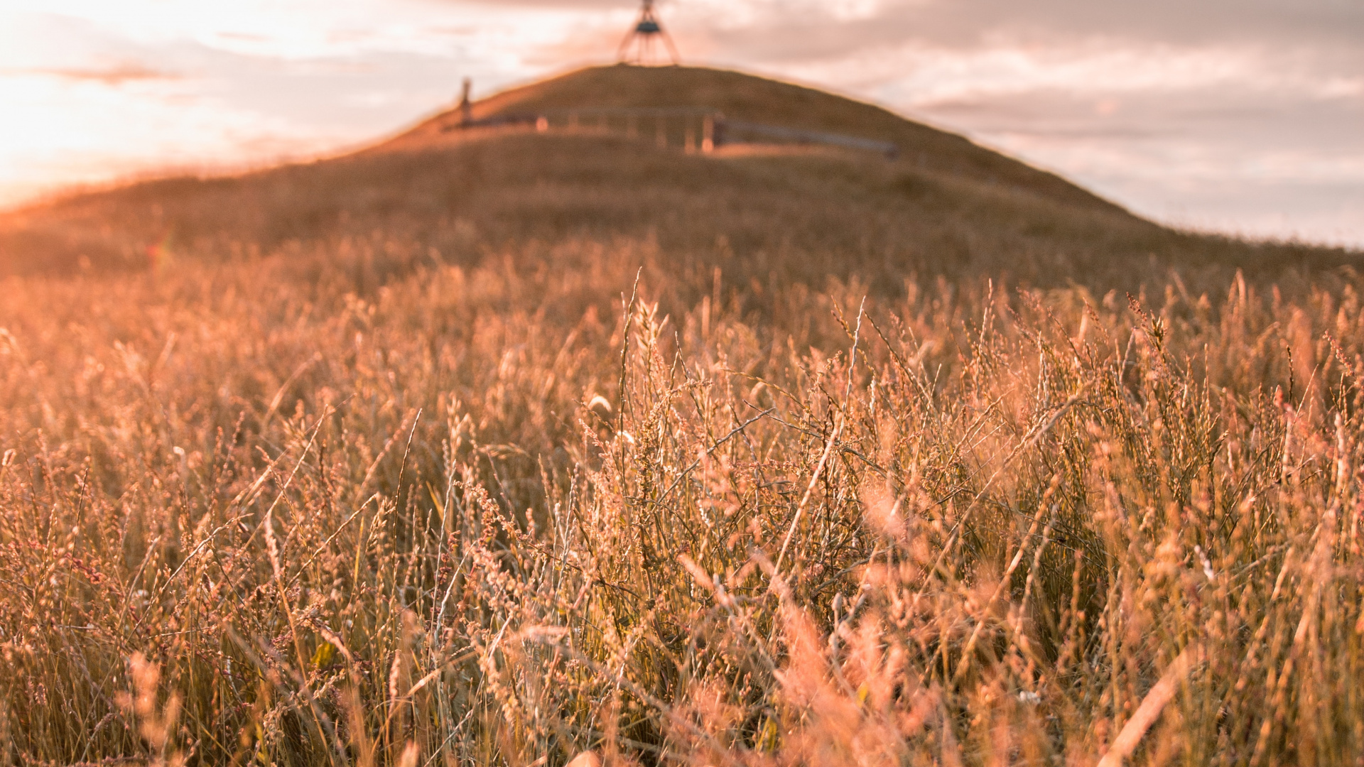 Natur, Grünland, Goldene Stunde, Himmel, Vlog. Wallpaper in 1920x1080 Resolution