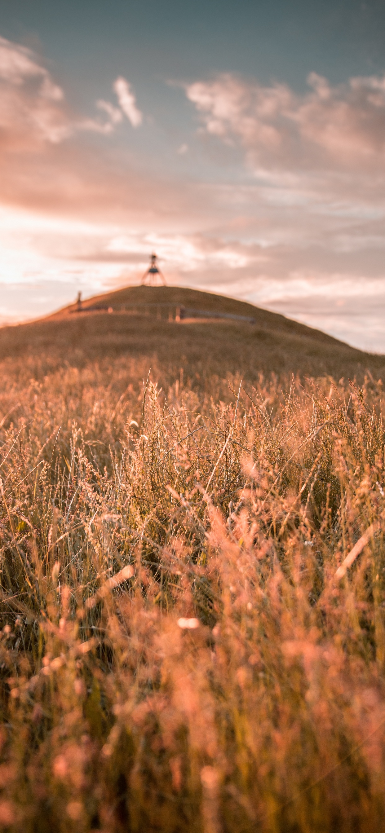 Nature, Prairie, L'heure Dorée, Ciel, Vlog. Wallpaper in 1242x2688 Resolution